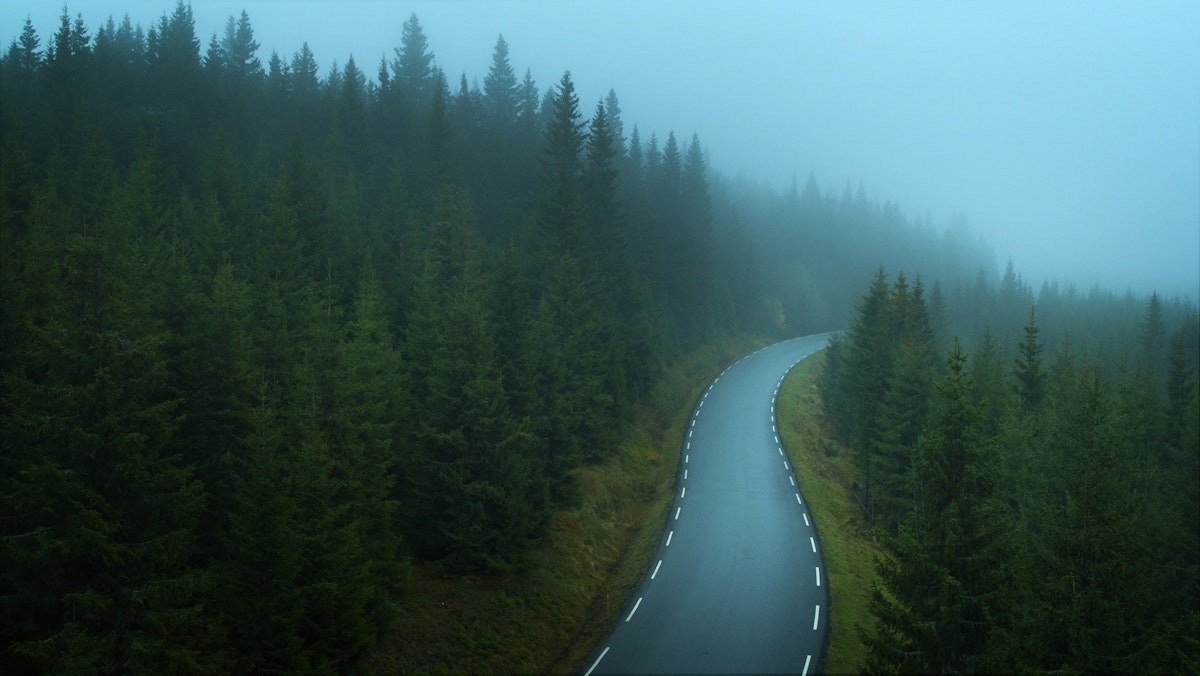 Asfaltert vei i skogen.